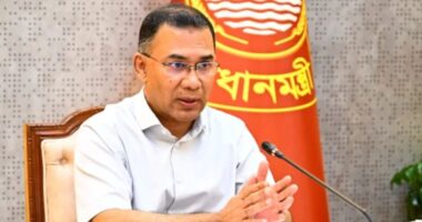 স্থানীয় নির্বাচনে দলের জনপ্রিয় ও জনসমর্থন রয়েছে, এমন নেতাদের প্রার্থী করার নির্দেশ প্রধানমন্ত্রীর