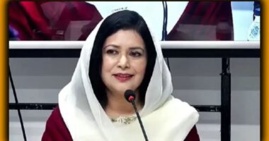 নারীর স্বাস্থ্য খাতে বিনিয়োগ শুধু ব্যয় নয়, জাতীয় উন্নয়নের ভিত্তি: ডা. জুবাইদা রহমান