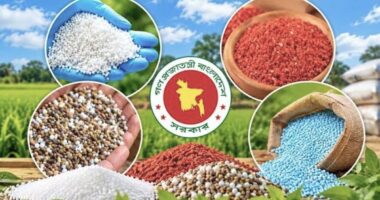 তালতলীতে সার ডিলার নিয়োগে অনিয়ম,তদন্ত করে ব্যবস্থা নেয়ার আশ্বাস উপ-পরিচালকের