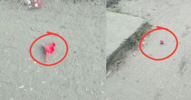 বিচারকের বাসভবনের সামনে একাধিক ককটেল বিস্ফোরণ