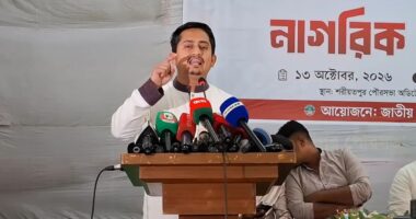 বিএনপি জনগণের সরকার হতে পারেনি: সারজিস আলম