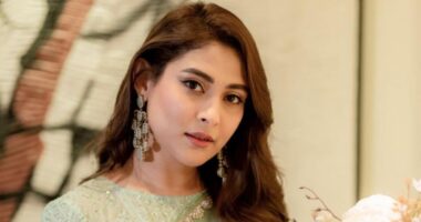 এআই দিয়ে মিথ্যা কন্টেন্ট তৈরি করা কোনো বিনোদন নয়,এটি অপরাধ: মেহজাবীন চৌধুরী