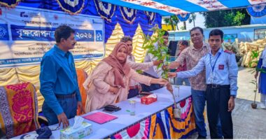 ধামইরহাটে বৃক্ষরোপণে চকময়রাম সরকারি মডেল শিক্ষার্থীরা