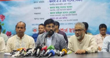 উদারনৈতিক মনোভাব নিয়ে মানবিক রাষ্ট্র ও সমাজ গড়ার চেষ্টা করছেন প্রধানমন্ত্রী: প্রেস সচিব শিবলী