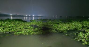 ধলেশ্বরী নদীতে কচুরিপানার সঙ্গে ভেসে এল কিশোরীর মরদেহ