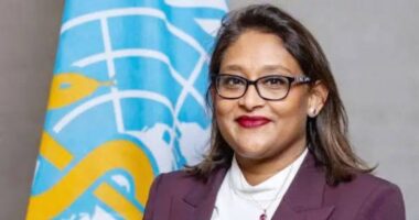বিশ্ব স্বাস্থ্য সংস্থার পদ জালিয়াতি, পুতুলের বিরুদ্ধে দুদকের চার্জশিট