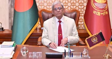 কোনো অপশক্তিকে জাতীয় ঐক্য বিনষ্ট করতে দেওয়া যাবে না: রাষ্ট্রপতি