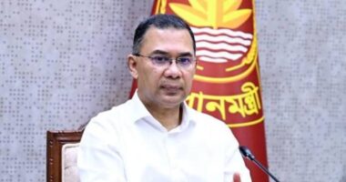 সুন্দরবন ও মোংলা বন্দর পরিদর্শনে আগামীকাল খুলনায় যাচ্ছেন প্রধানমন্ত্রী