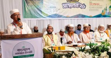 ক্ষমতার স্বাদ গ্রহণ নয়, বরং দেশ গঠন ও মানবতার কল্যাণের জন্যই আমাদের রাজনীতি: মাওলানা আবদুল হালিম