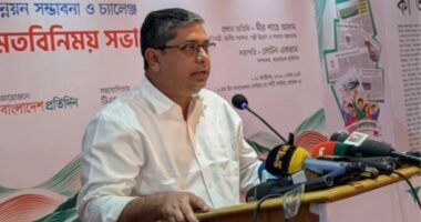 বট ও গুপ্ত শুধু জামায়াত ও আওয়ামী লীগে নয়, বিএনপির মধ্যেও আছে: মীর শাহে আলম