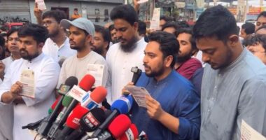 সার্বিক ব্যর্থতার দায়ে স্বরাষ্ট্রমন্ত্রী ও জ্বালানিমন্ত্রীর পদত্যাগ করতে হবে: নাহিদ