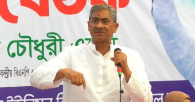 কার সঙ্গে কার আঁতাত ছিল, সবাই জানে: এ্যানি
