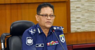 বিগত সরকারের আমলে পাড়া-মহল্লায় ডিলার তৈরি করে দেশজুড়ে মাদকের বিস্তার ঘটানো হয়েছিল: আইজিপি আলী