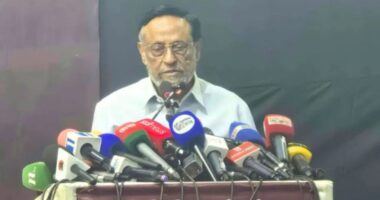 বিএনপি ক্ষমতায় আসার পর ৮০ হাজার মানুষ চাকরি হারিয়েছে: কর্নেল অলি