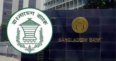দেশের কোনো ব্যাংকের ওয়েবসাইট হ্যাক হয়নি: বাংলাদেশ ব্যাংক