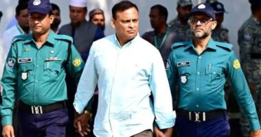 জিয়াউল আহসানের পক্ষে মামলা লড়তে বৃটিশ আইনজীবীর আবেদন