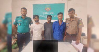 পূবাইলে রাতের অভিযানে চাপাতি-ছুরিসহ ৩ যুবক গ্রেপ্তার