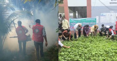 নীলফামারীর ডোমারে ডেঙ্গু প্রতিরোধে যুব রেড ক্রিসেন্টের পরিচ্ছন্নতা অভিযান