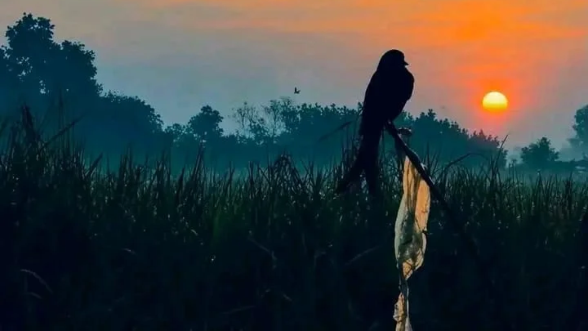 প্রকৃতির নীরব রূপবদল মনে করিয়ে দিচ্ছে-‘শীত আসছে’