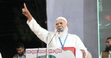 ইঞ্জিনিয়ারিং করে সরকার গঠন করেছে বিএনপি: জামায়াত আমির